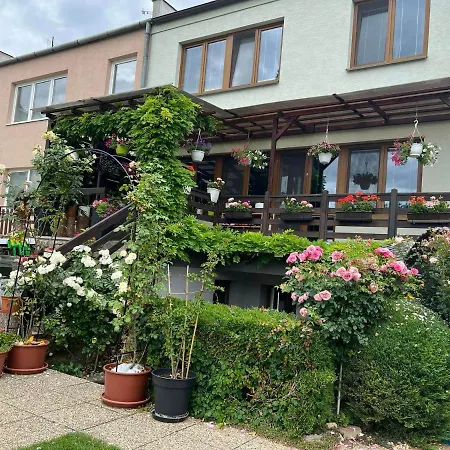 Penzion Na Hrazi 91 3*