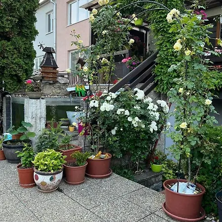Ubytovani Na Hrazi 91 Gæstehus Znojmo