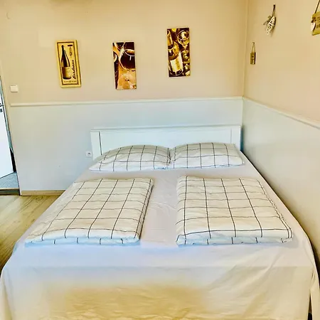 Na Hrazi 91 Penzion 3*